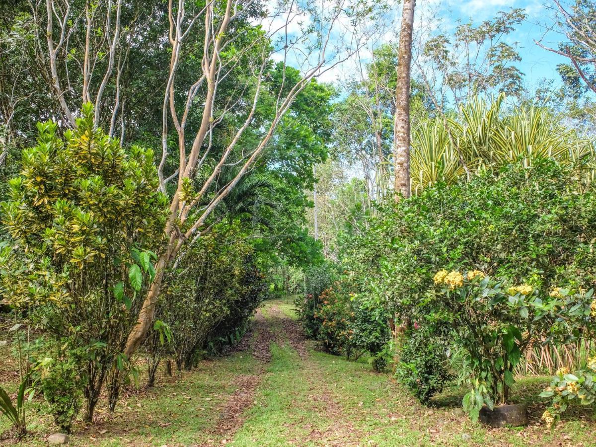 Villa Celeste Katira Rio Celeste Екстер'єр фото