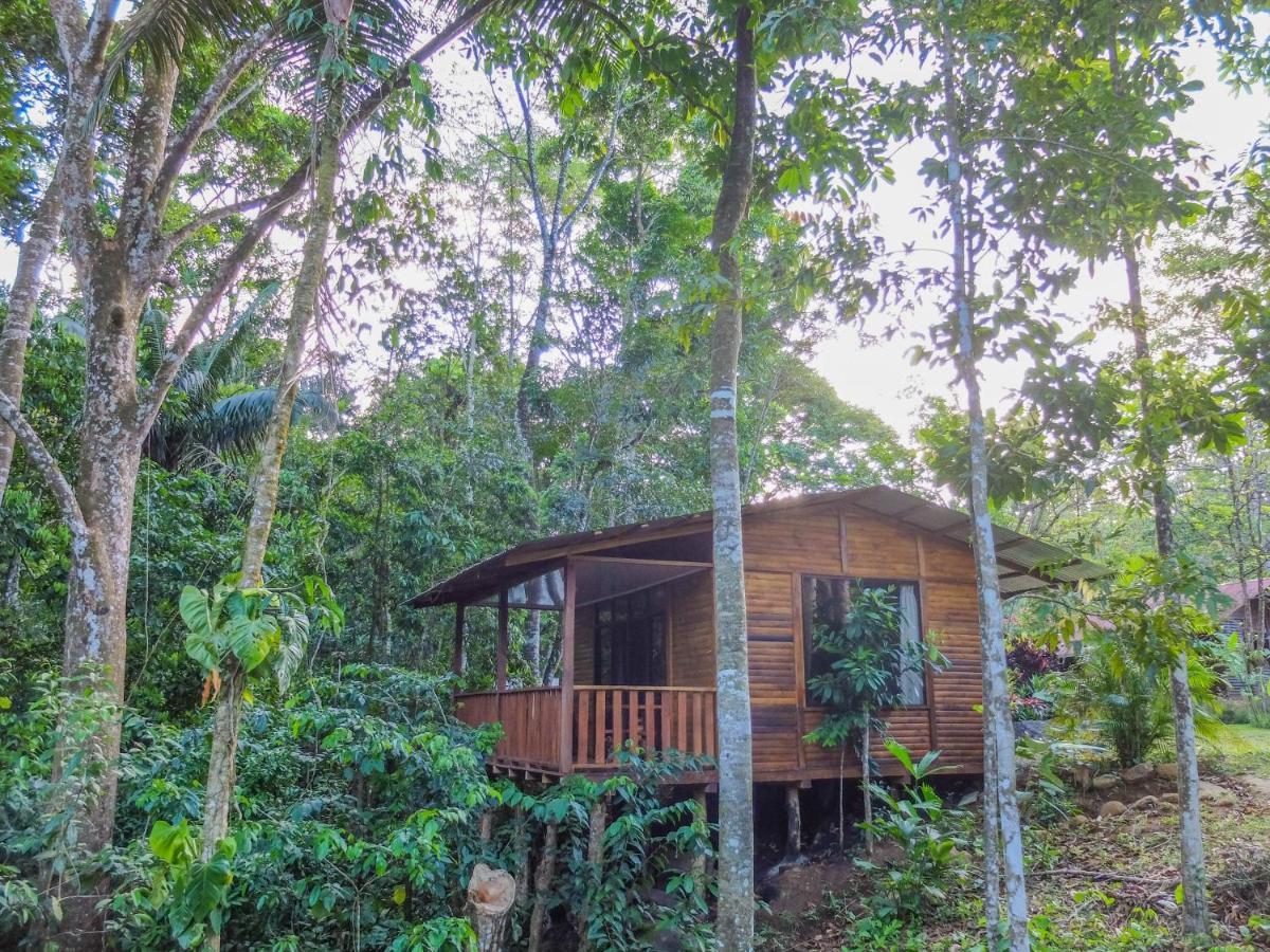 Villa Celeste Katira Rio Celeste Екстер'єр фото
